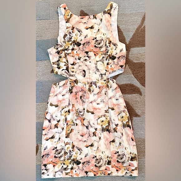 Anthropologie | Ladakh Sleeveless Rosebud Mini Dress W Waist Cutouts - Picture 7 of 8